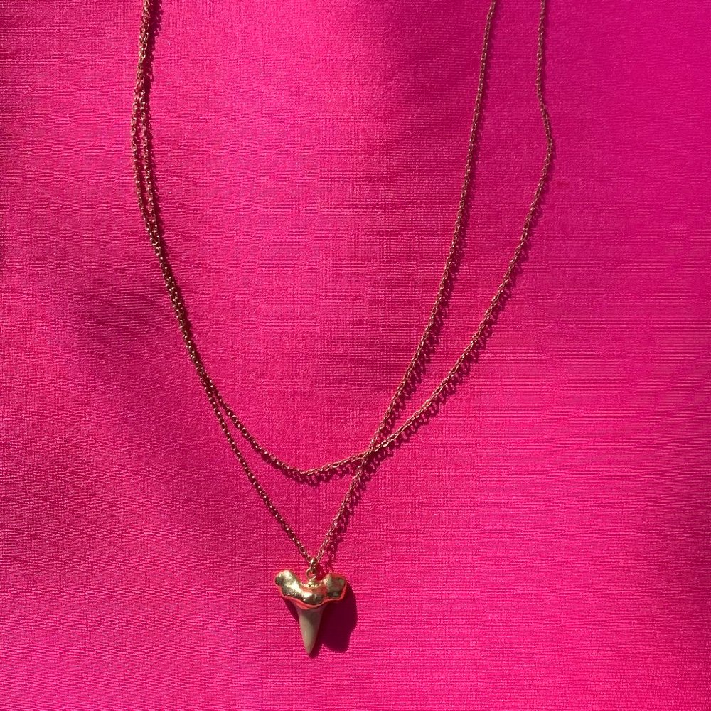 Heather Hawkins Layered Shark Tooth Necklace